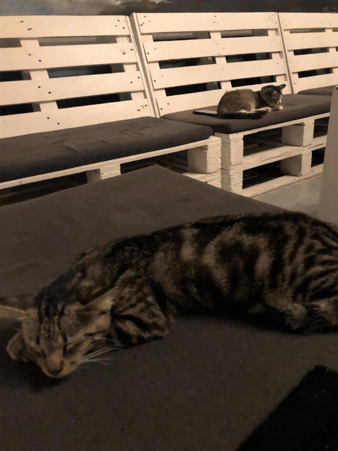 פנתאי צנאנג Rembulan Langkawi Guesthouse מראה חיצוני תמונה
